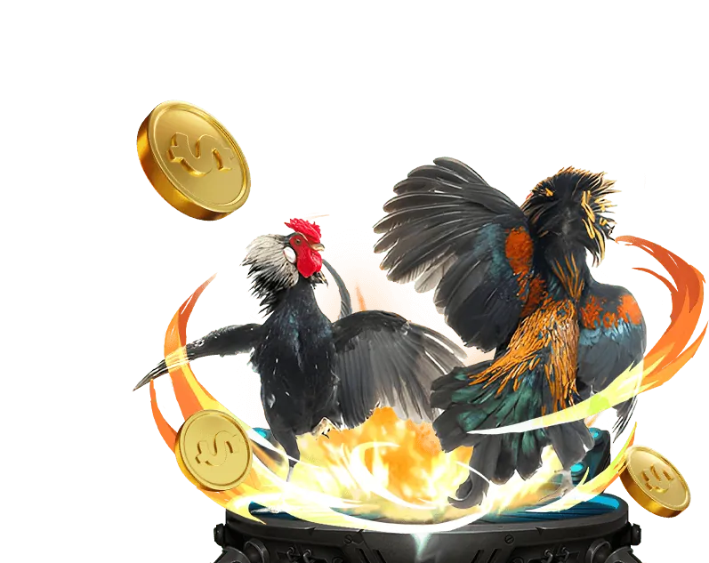 Nhà cung cấp cá cược thể thao tf88 game